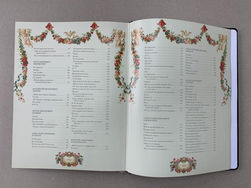 Золотой век поэзии (подарочная кожаная книга)