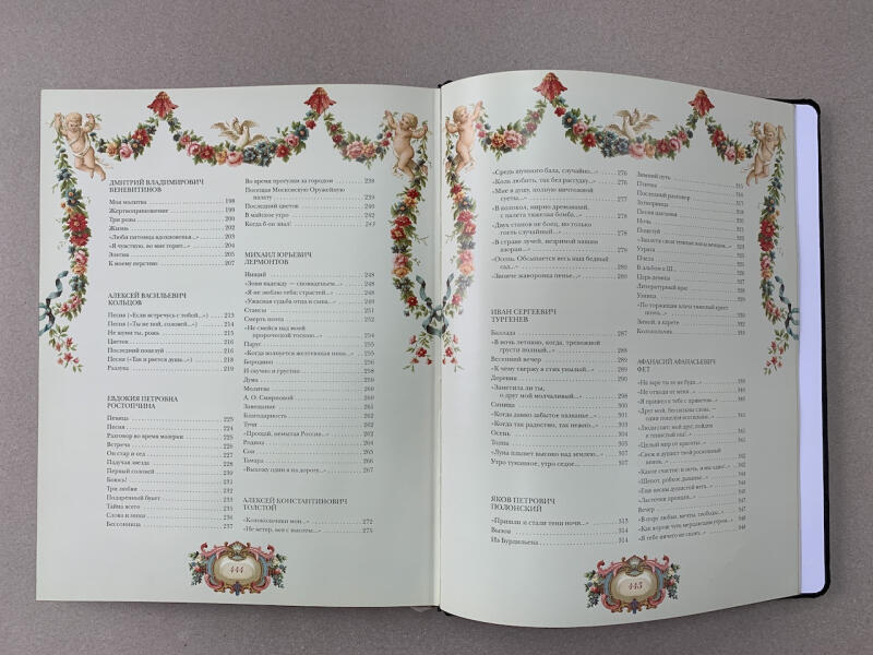 Золотой век поэзии (подарочная кожаная книга)
