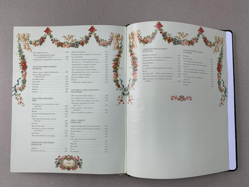 Золотой век поэзии (подарочная кожаная книга)