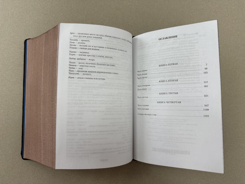Михаил Шолохов. Тихий Дон (подарочная кожаная книга)