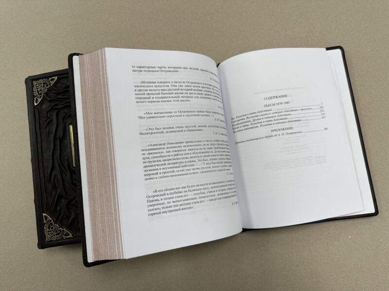 Островский А. Н. Избранное: в 2-х томах (подарочные кожаные книги)