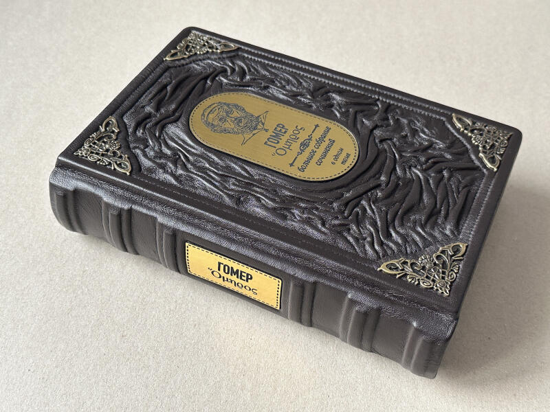 Илиада. Одиссея. Гомер (подарочная кожаная книга)