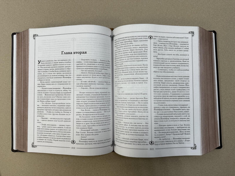 Ведьмак. Анджей Сапковский (подарочная кожаная книга)