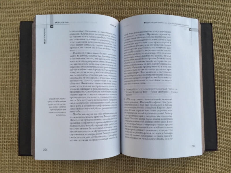 Мастер игры. Роберт Грин (подарочная кожаная книга)