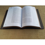 Мастер игры. Роберт Грин (подарочная кожаная книга)