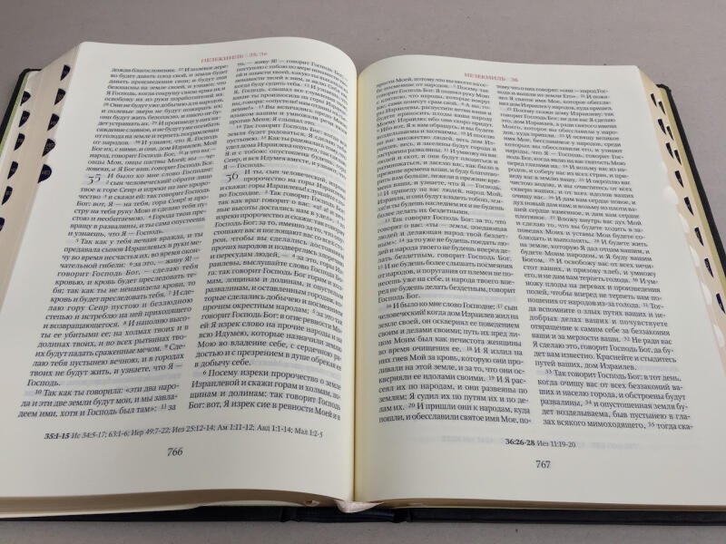 БИБЛИЯ (подарочная кожаная книга)