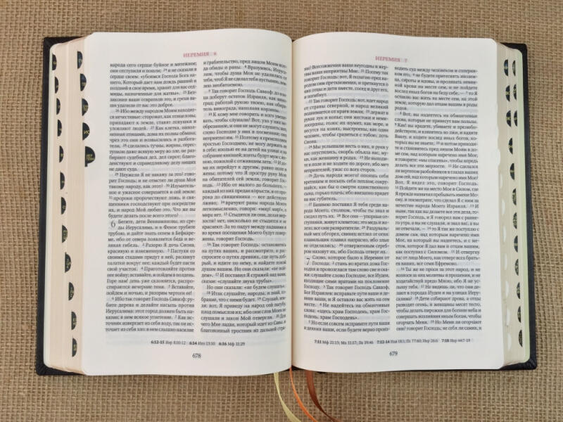 БИБЛИЯ (подарочная кожаная книга)