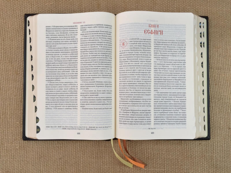 БИБЛИЯ (подарочная кожаная книга)