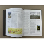 Вина мира (подарочная кожаная книга)