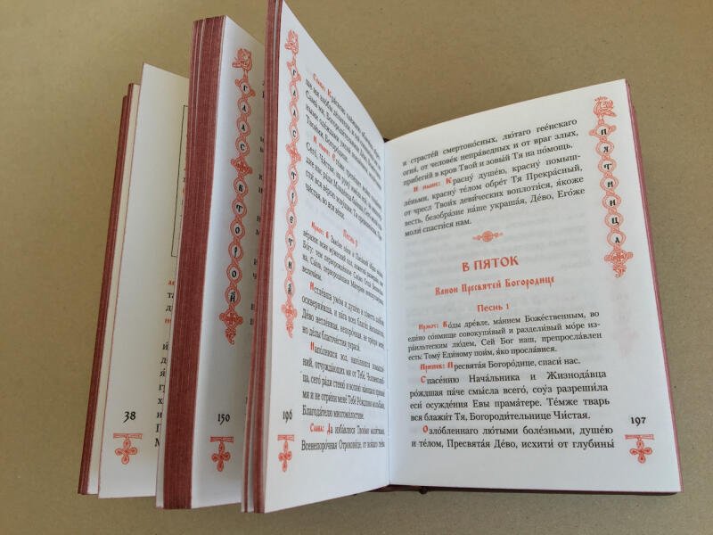 Богродичник (подарочная кожаная книга)