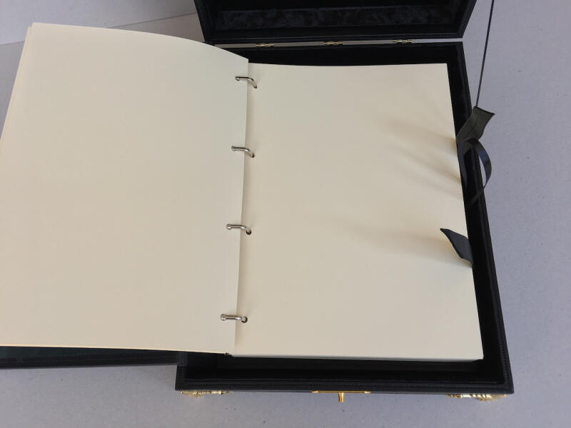 Родословная книга (подарочная кожаная в ларце)