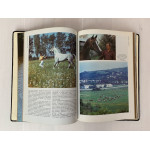 Коневодство и коннозаводство (подарочная кожаная книга)